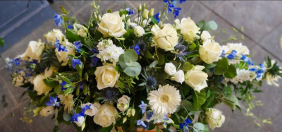 Blue Spray - Blue and white or colours of your choice.
This can be made in all roses at an exrta cost of £150 Blue Spray - Blue and white or colours of your choice.
This can be made in all roses at an exrta cost of £150